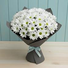 Букет цветов из:  Хризантемы в Спасском Приморского края