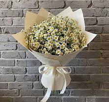 Букет цветов из:  Ромашки в Спасском Приморского края