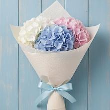 Букет цветов из:  Гортензия в Спасском Приморского края