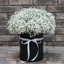 Цветочная композиция из Гипсофила в шляпной коробке #REPLACE_PRED# Спасском Приморского края