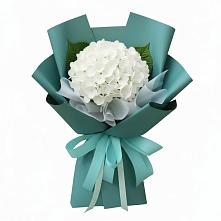 Букет цветов из:  Гортензия #REPLACE_PRED# Спасском Приморского края